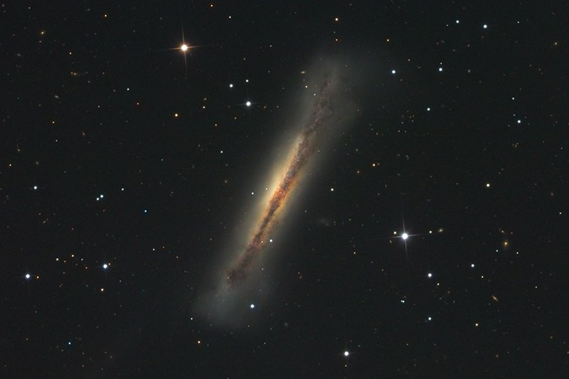 NGC3628